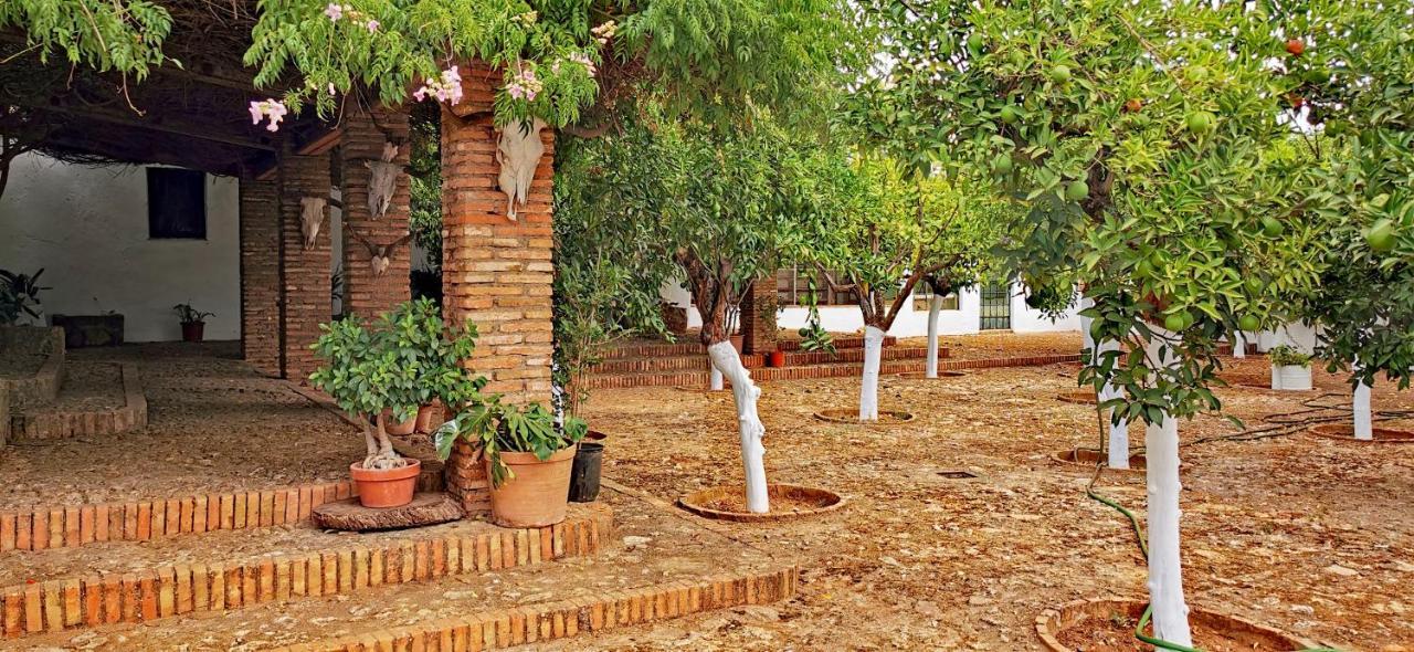 Villa La Fuensanta Hornachuelos Exterior foto
