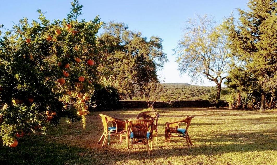 Villa La Fuensanta Hornachuelos Exterior foto